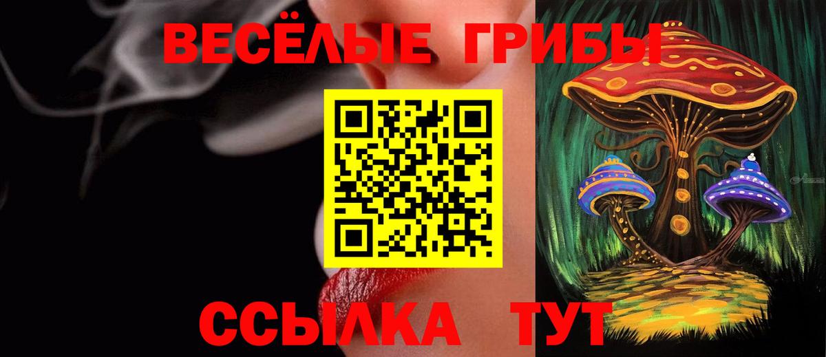 Галлюциногенные грибы мицелий Советск